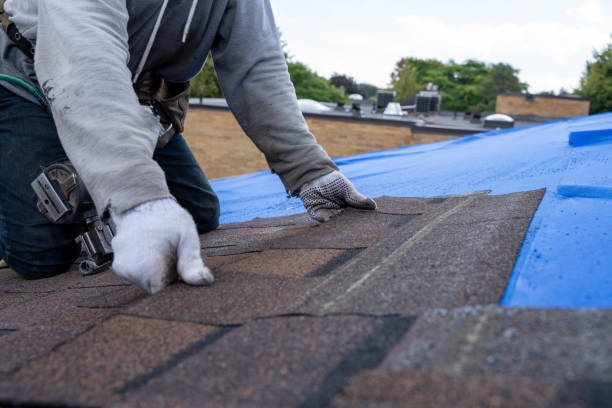 Best Storm Damage Roof Repair  in Cedar Creek, TX