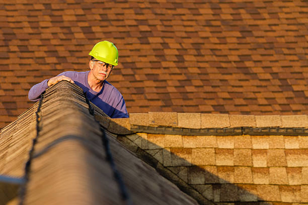 Best Roof Gutter Cleaning  in Cedar Creek, TX